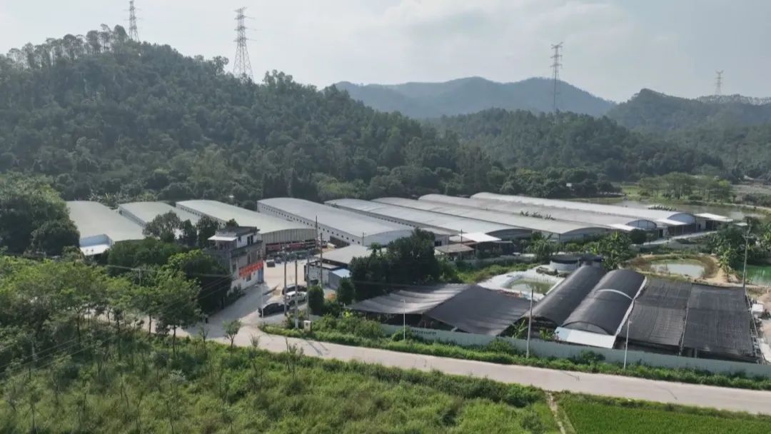基层“良”策 | 新兴：加快“政企村共建”养殖小区建设