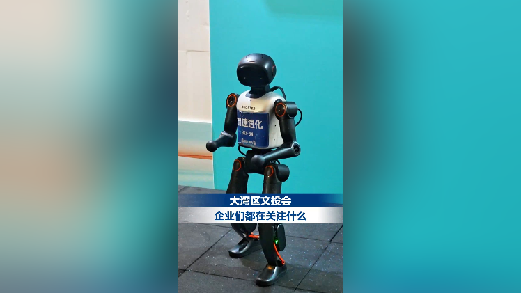 大湾区文投会，企业们都在关注什么？｜文投会一线直击