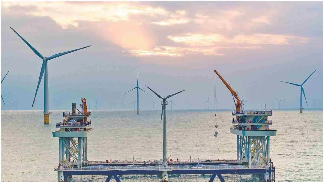 广东：现代化海洋牧场冲刺万亿级产业集群