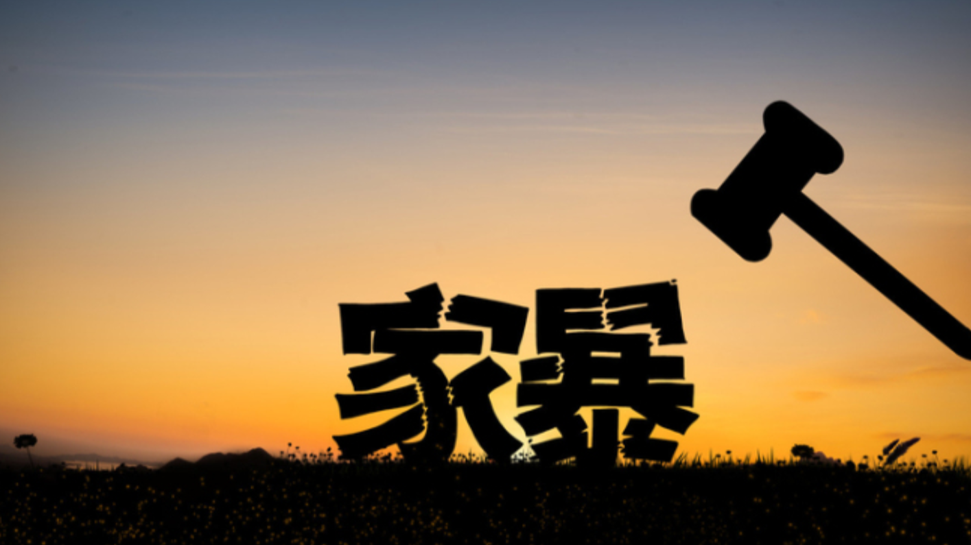 同居暴力入法，织密反家暴保护网