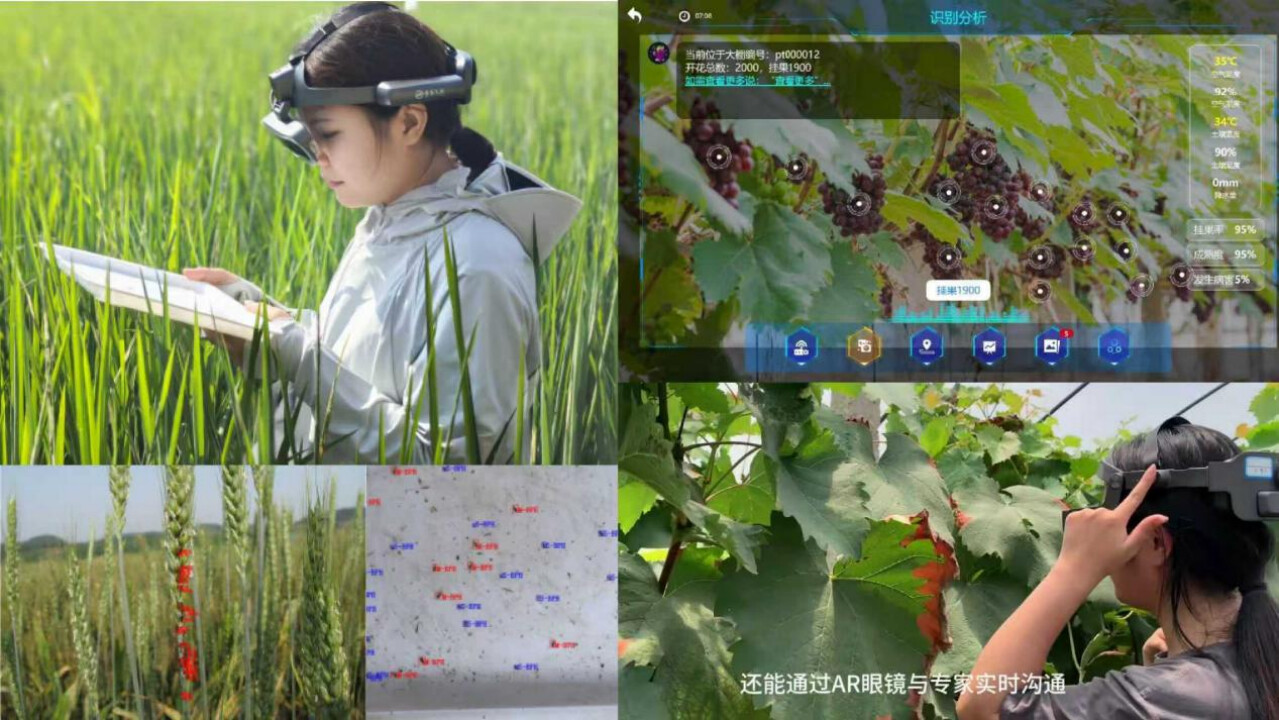 大湾区文化智造路演“神仙打架”：从机器人到3D打印进家，“最文化”的却是它？