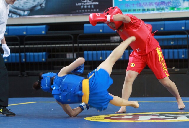 Wushu Sanda