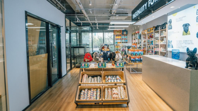 宠物友好型城区+1！南沙这座万平“毛孩子乐园”年底开放