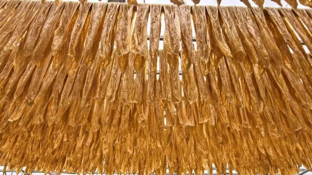 粤北豆香飘全国，和平以“媒体+”破局激活腐竹全产业链