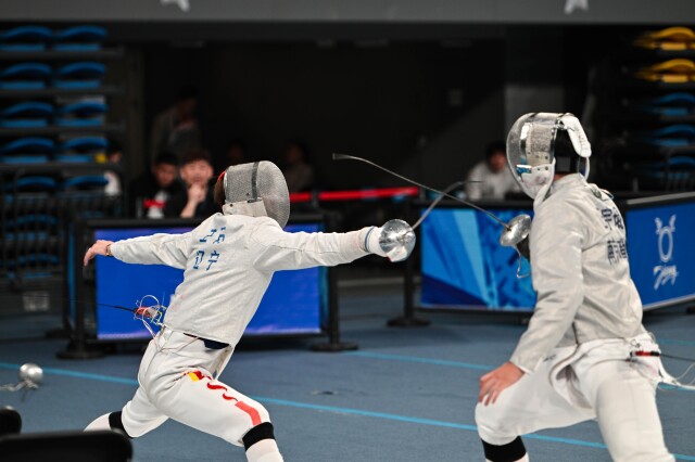 Fencing