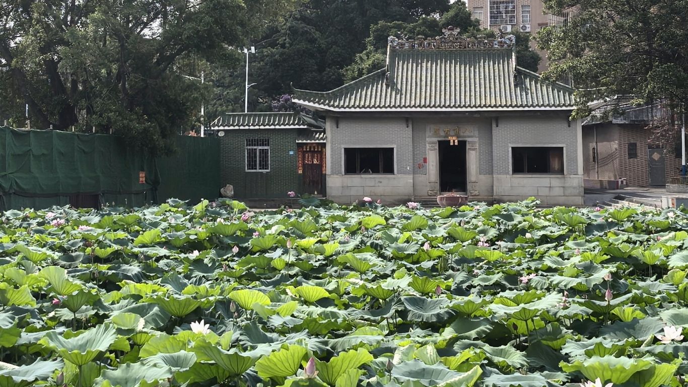 两届人大代表为民生接力  攻坚“水患”铺就平安上学路