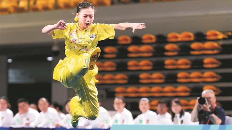 Wushu Taolu