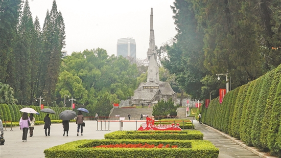 赏英雄花 传英雄志 广州推出“红棉之旅”等活动