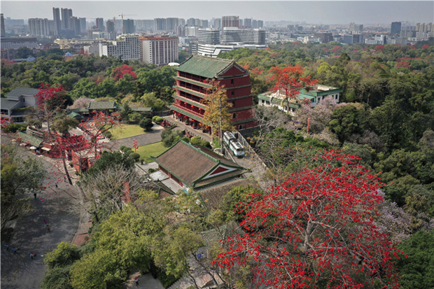 Guangzhou Museum, a destination to glimpse Guangzhou history