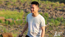 “90后”汕头潮阳小伙返乡种水稻,“新农人”乐当“田保姆” “90后”汕头潮阳小伙返乡种水稻,“新农人”乐当“田保姆”