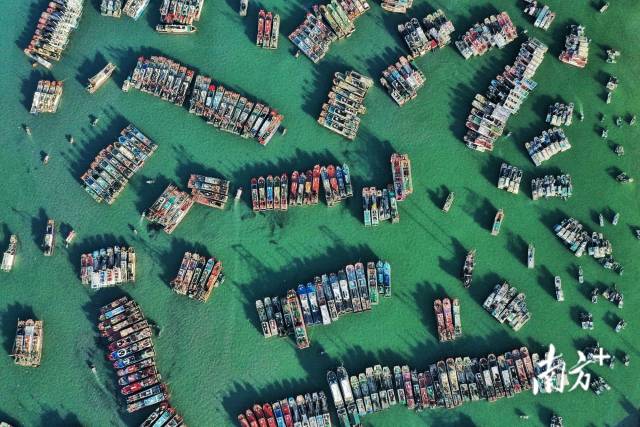 8月15日，广东省阳江市海陵岛，渔港内停满了蓄势待发的渔船。