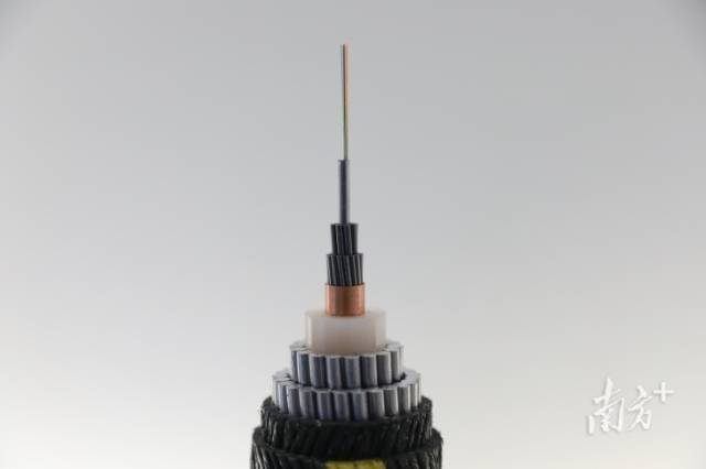 烽火海洋的海底光缆产品，其中的光纤是传输核心。