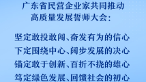 从春天出发｜民营经济枝繁叶茂 推动广东高质量发展勇开新局