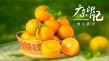 【广东印记】德庆贡柑 【广东印记】德庆贡柑