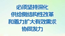 学习时节丨2024行稳致远·坚持深化供给侧结构性改革和着力扩大有效需求协同发力