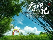 【广东印记】广宁竹海大观 【广东印记】广宁竹海大观