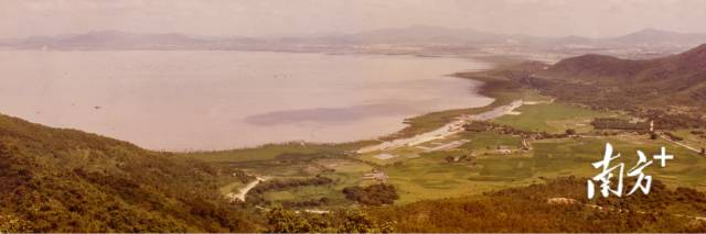 1985年，深圳前海仍是一片滩涂地。 