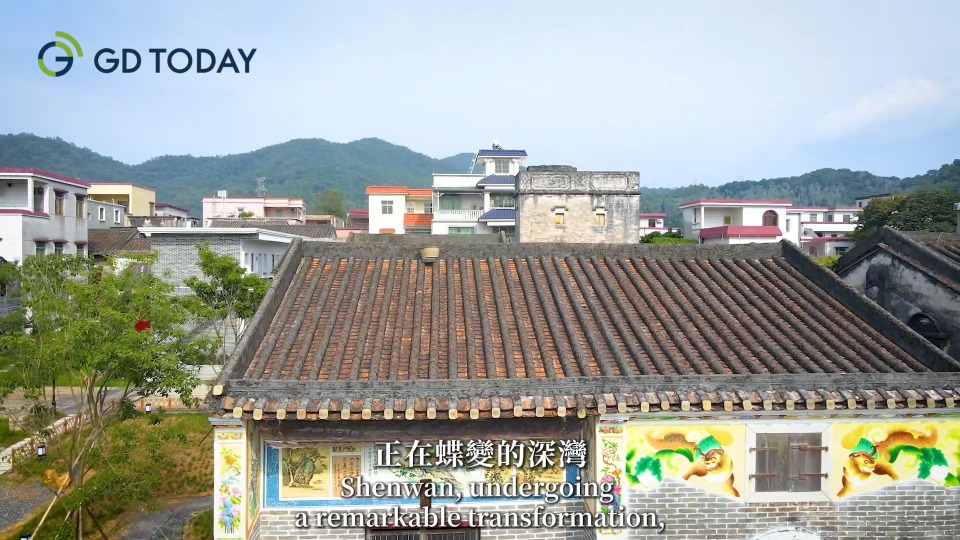 Overseas Chinese make efforts to promote culture and education, adding charm to Shenwan Village