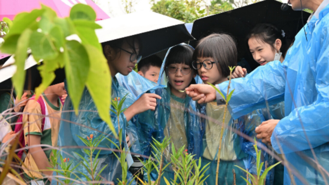 Science popularization and education program for Macao students officially launched in Hengqin