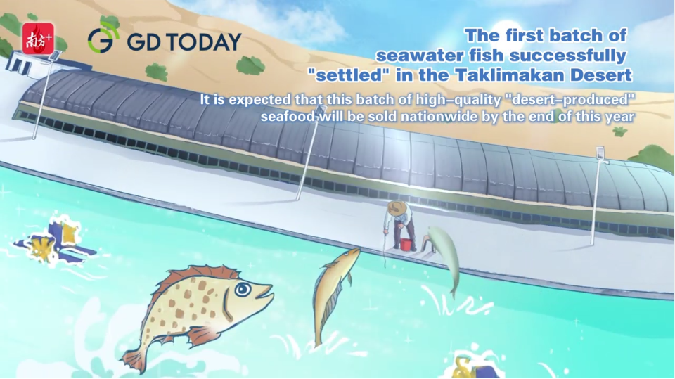 "1TB seafood stomach is ready!" Seawater fish farming in the desert