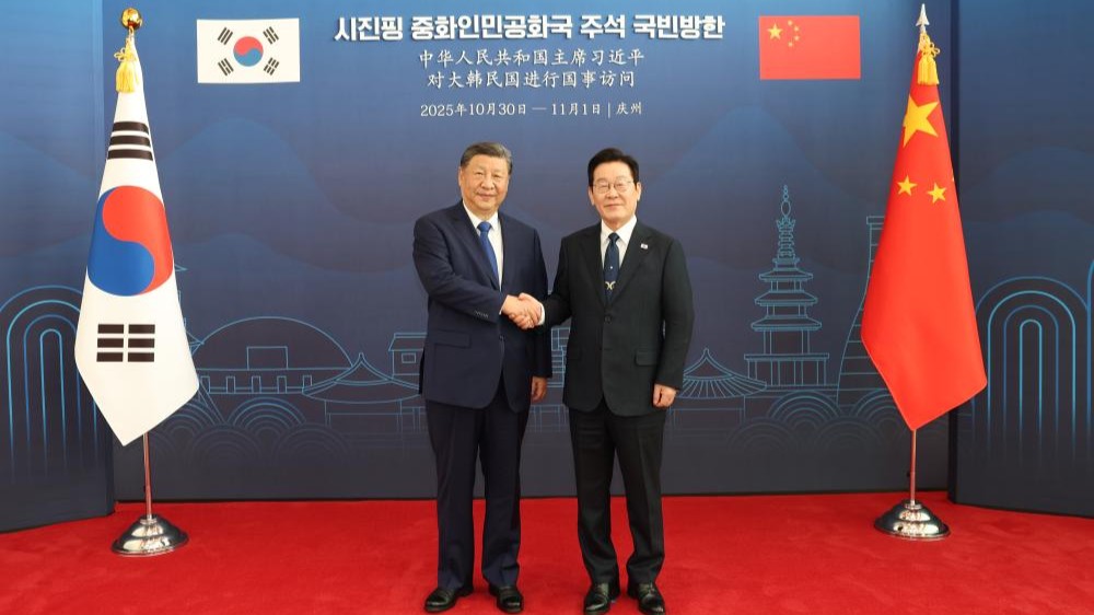Xi says China willing to work with S. Korea for steady development of strategic cooperative partnership