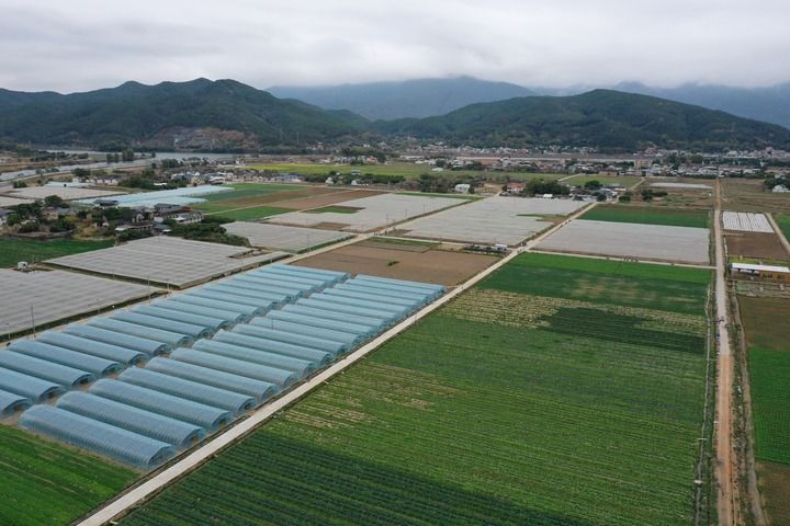2月17日，这是位于梅州市蕉岭县新铺镇同福村的近千亩标准化农作物种植基地。新华社记者 黄国保摄
