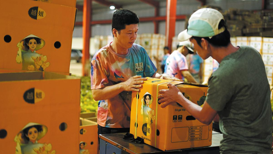 China and Vietnam expand agricultural trade