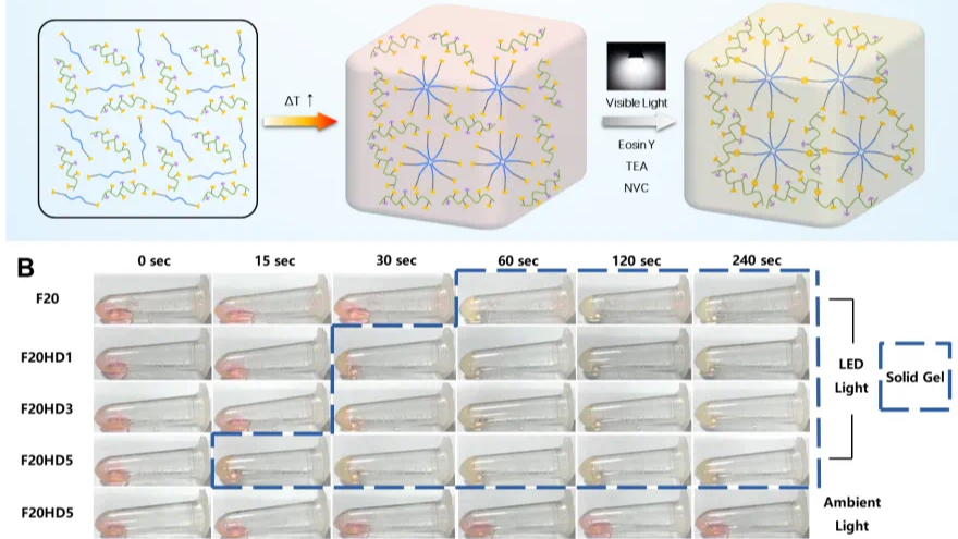 New material developed to repair penetrating corneal wounds