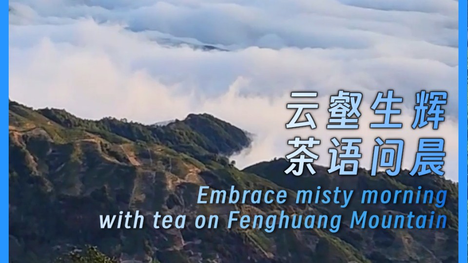 Embrace misty morning with tea on Fenghuang Mountain, Chaozhou