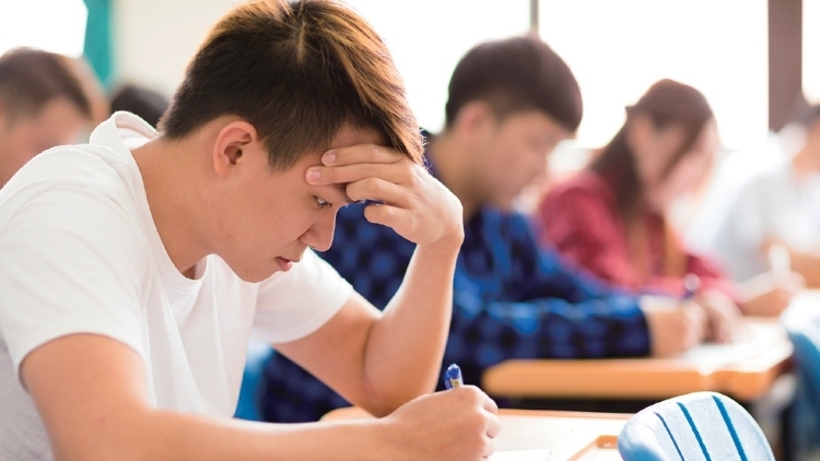 如何提高孩子的专注力？脑科学揭秘训练方法｜脑科学与教育