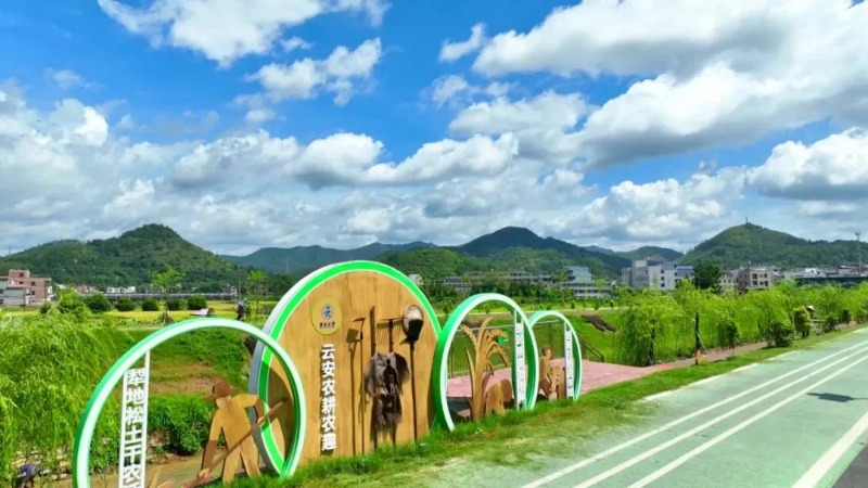 云安区高村镇深化人才驿站“1+N”模式 为圩镇建设运营蓄力