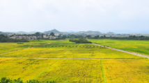 我们为什么对土地粤爱粤深沉?|全国土地日·观察 我们为什么对土地粤爱粤深沉?|全国土地日·观察
