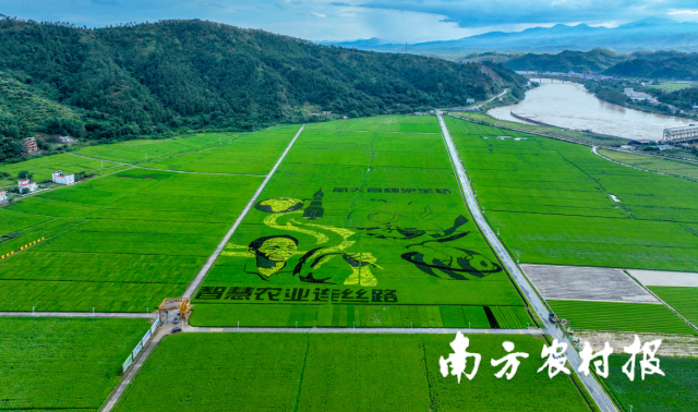 河源市东源县柳城镇东源万绿智慧无人农场