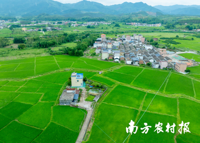 清远市佛冈县水头镇耕地集中整治区
