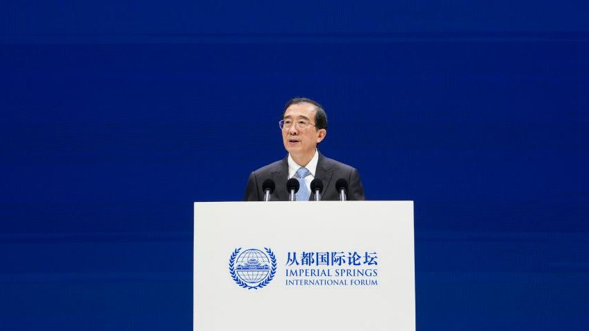 Senior political advisor stresses implementation of four major global initiatives