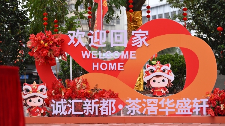 行政处理试点效果显现，广州茶滘村民喜迎296套安置房交付