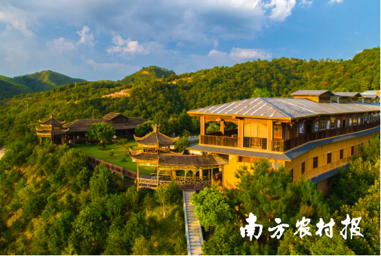 如今,去森林已经成为人们生活方式,图为南寿峰森林康养基地 如今,去森林已经成为人们生活方式,图为南寿峰森林康养基地