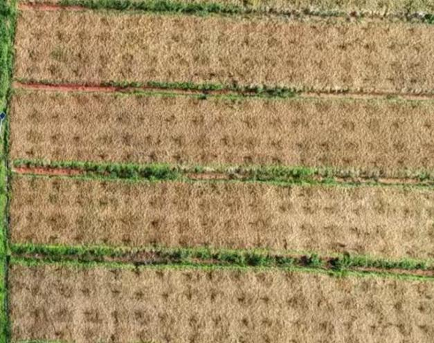 undefined 图片11.png