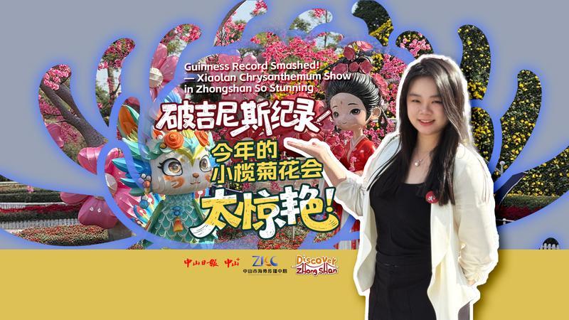 Guinness Record smashed! Xiaolan Chrysanthemum Show in Zhongshan so stunning