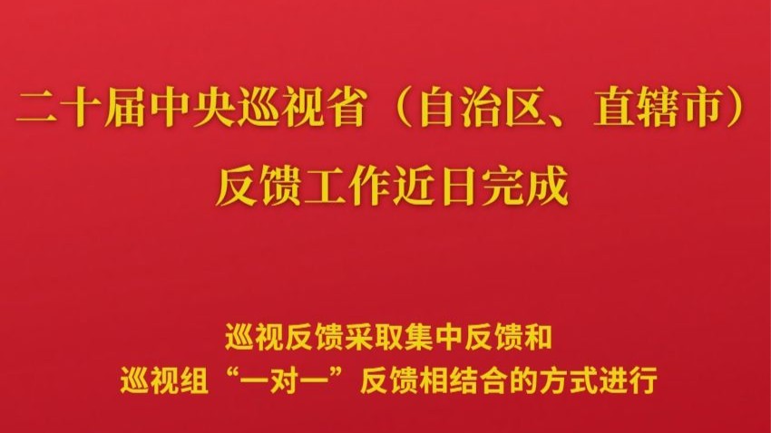 二十届中央巡视省（自治区、直辖市）完成反馈