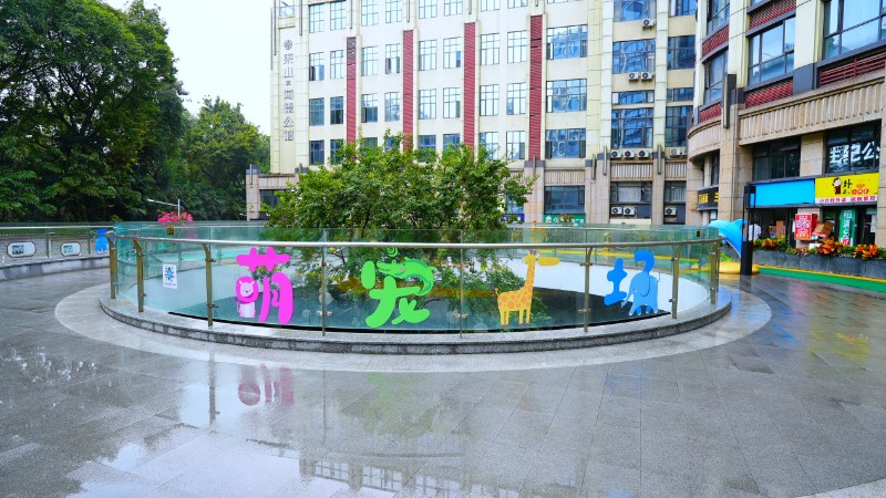 从“绣花针”到“全景图”，广州以精细治理织就城市新貌｜“十四五”答卷