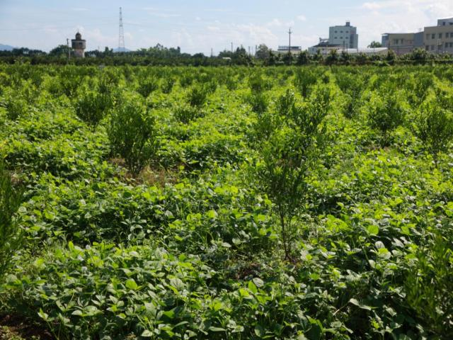 undefined 图片8.png