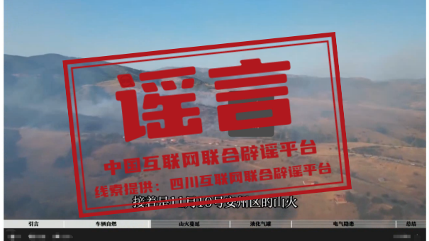 今日辟谣（2025年12月3日）