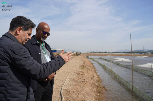 Baijiao's sea bass industry inspires global visitors