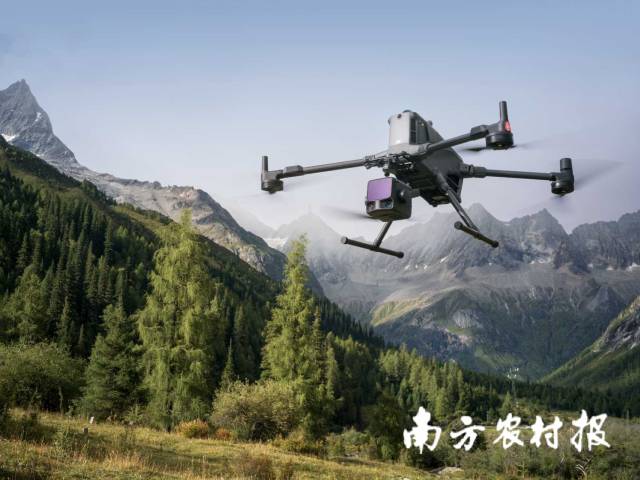 大疆无人机,用科技守护林业产业高质量发展 大疆无人机,用科技守护林业产业高质量发展