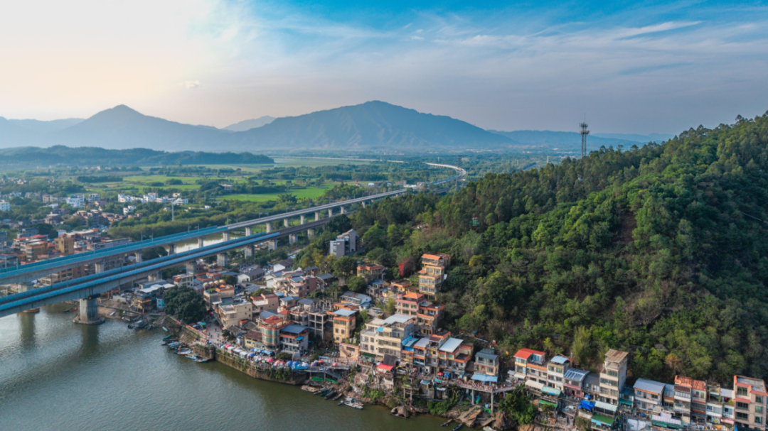 清远麻竹笋全产业链产值连续两年超100亿元 惠及9.36万农户