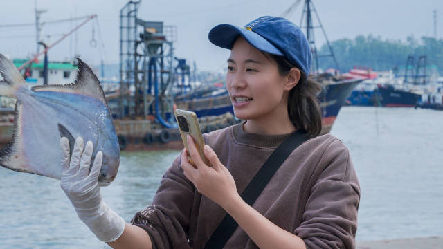90后海鲜代购主播朱香玲,拥有两万多粉丝,一天为全国各地的网友寄出约一两百斤的博贺渔鲜。(黄坚文 摄) 90后海鲜代购主播朱香玲,拥有两万多粉丝,一天为全国各地的网友寄出约一两百斤的博贺渔鲜。(黄坚文 摄)