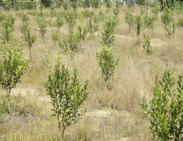 undefined 图片7.png