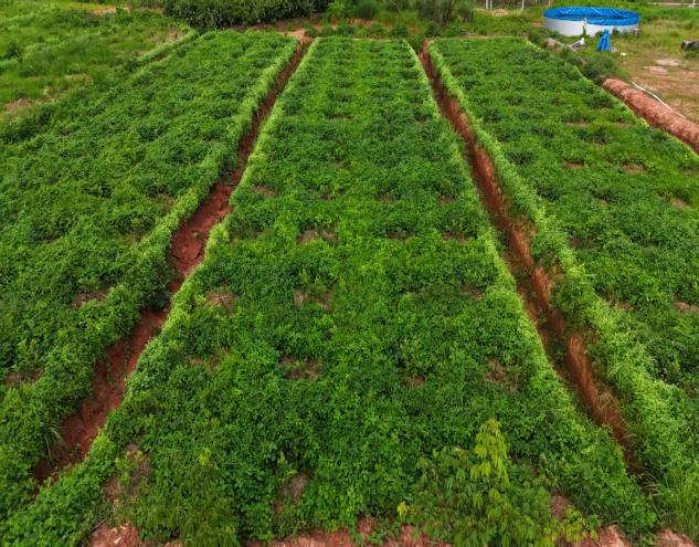 undefined 图片12.png