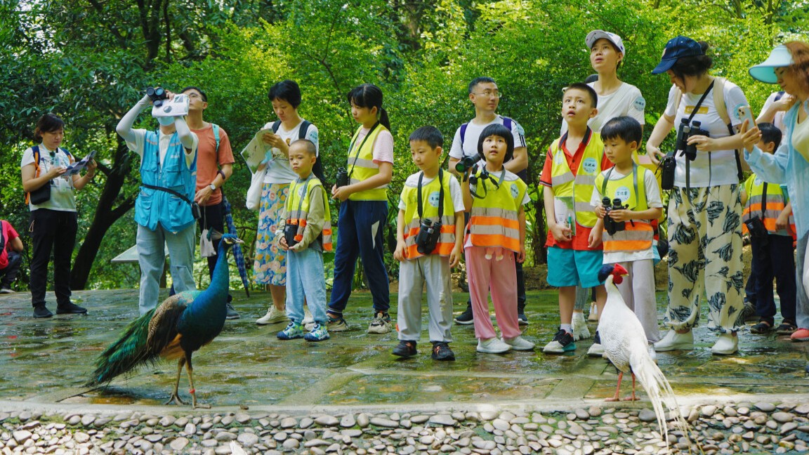 自然教育，大湾区生态文明建设新路径